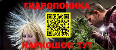 МДПВ Аша