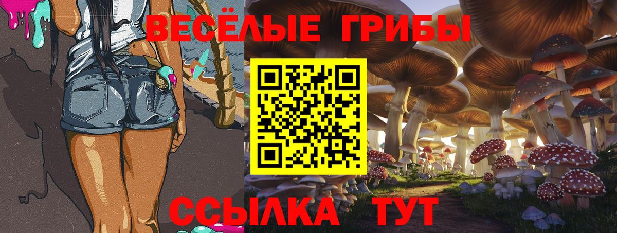 Дубна  Псилоцибиновые грибы Psilocybine cubensis  Вход с VPN 