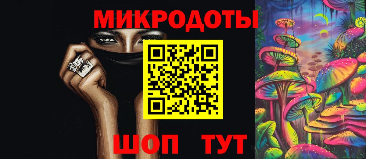Галлюциногенные грибы Psilocybine cubensis Дубна