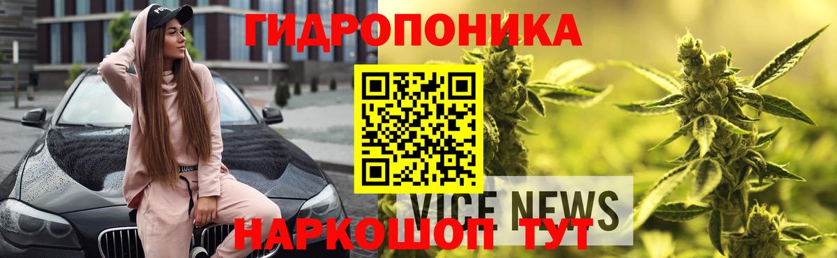 Дубна  Конопля MAZAR  Каннабис тримм  Вход с VPN  Бошки марихуана OG Kush 